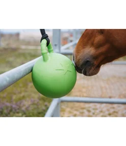 Balle de jeu Bruno
