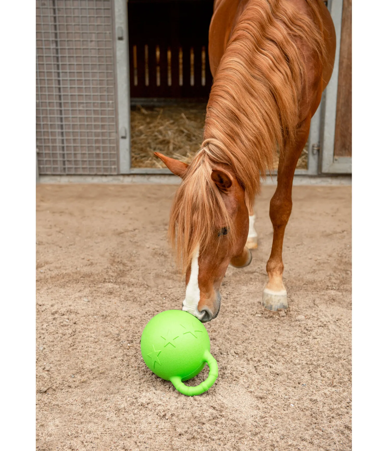Balle de jeu Bruno