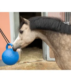 Balle de jeu Bruno