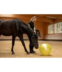 Balle de jeu pour cheval