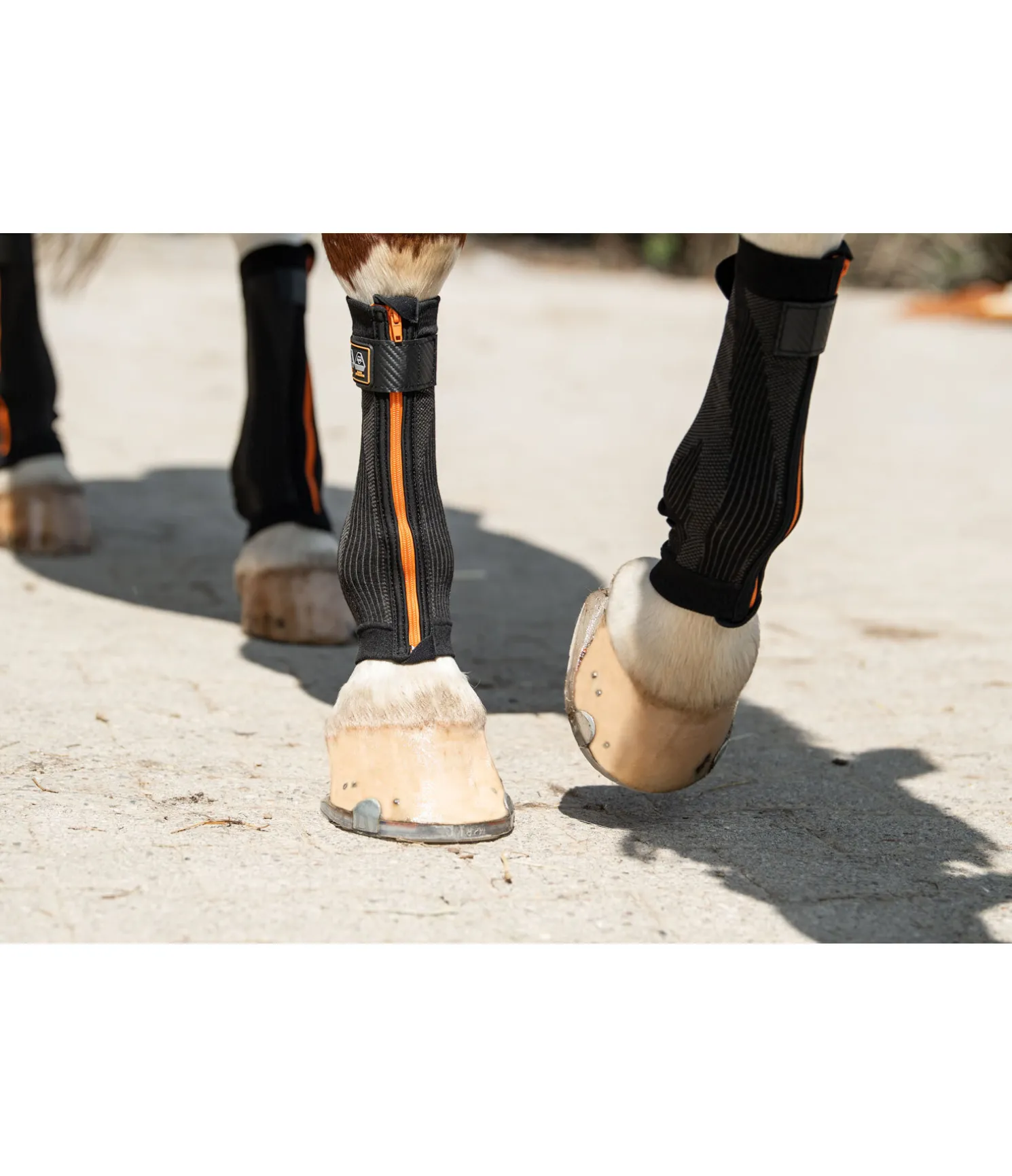 Bandes de compression Ceramic Rehab, pour antérieurs