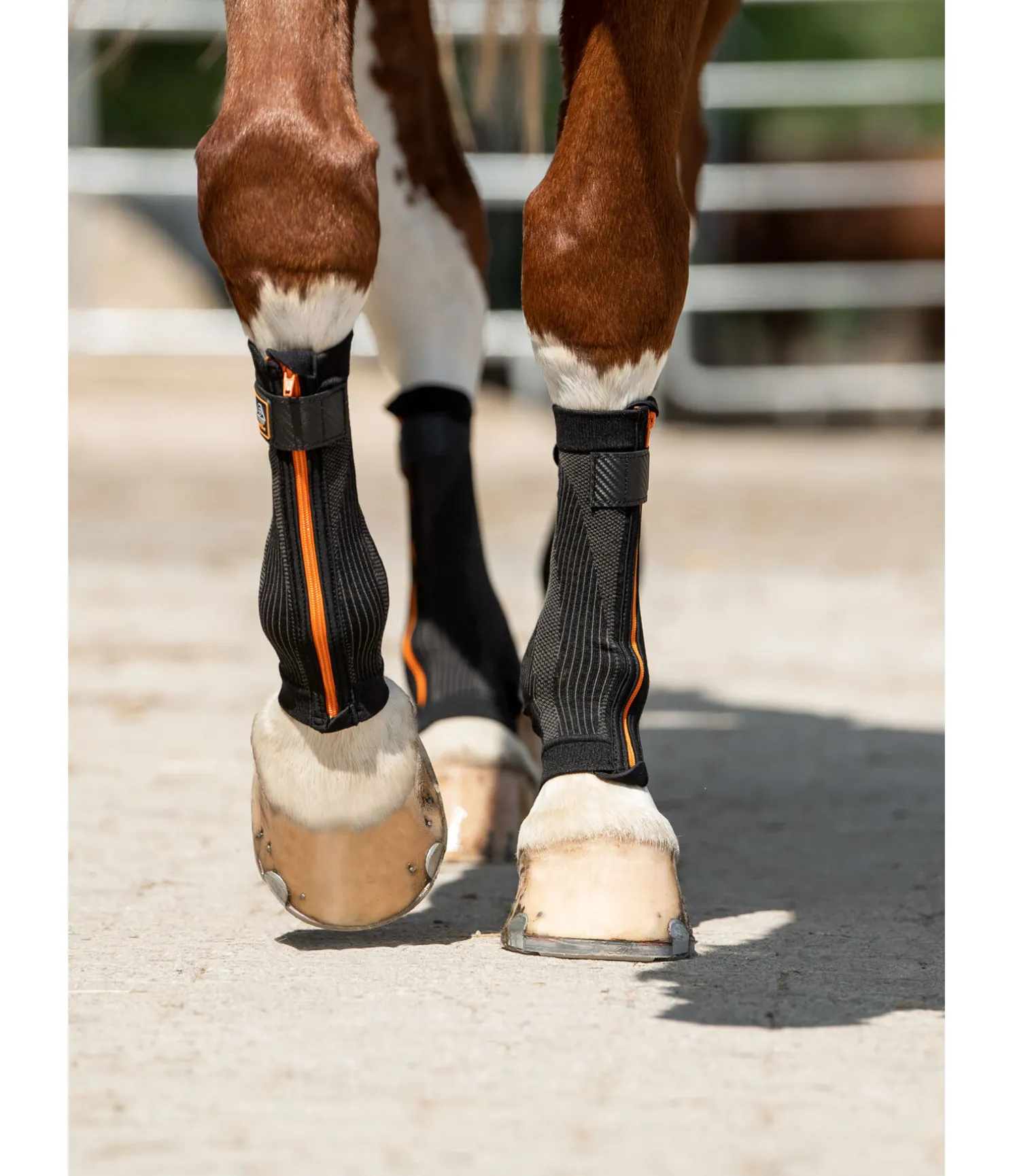 Bandes de compression Ceramic Rehab, pour antérieurs