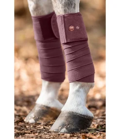 Bandes en polaire Hope