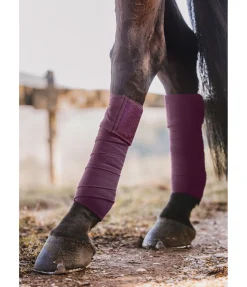 Bandes en polaire Sparkling II
