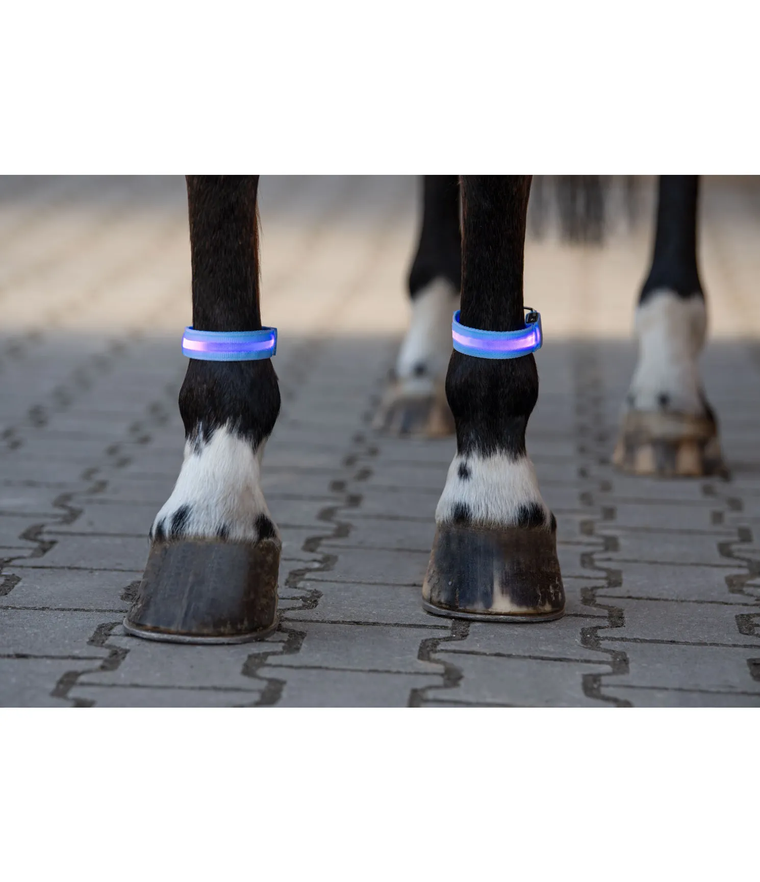 Bandes LED Loom