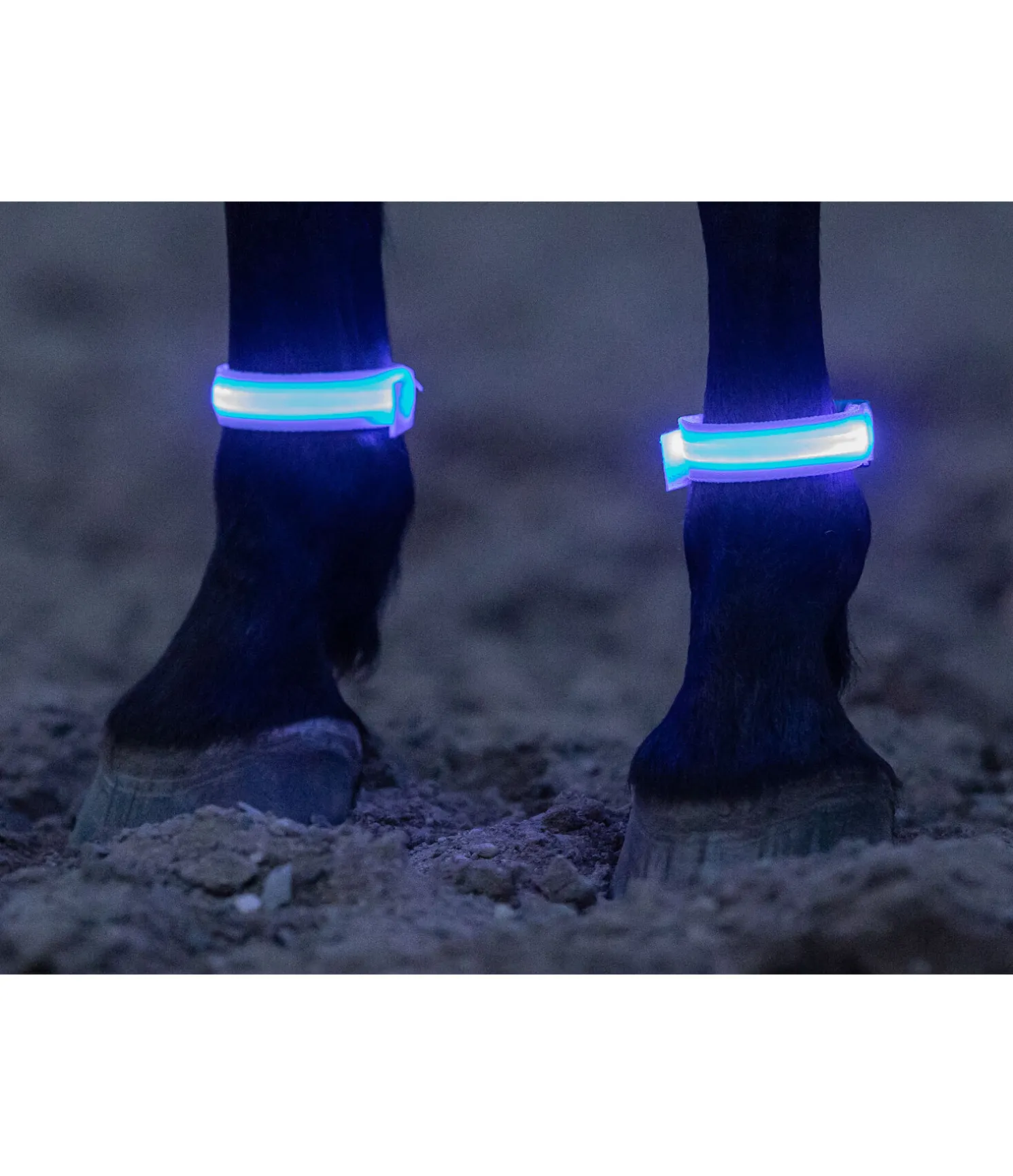 Bandes LED Loom