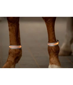 Bandes LED Loom