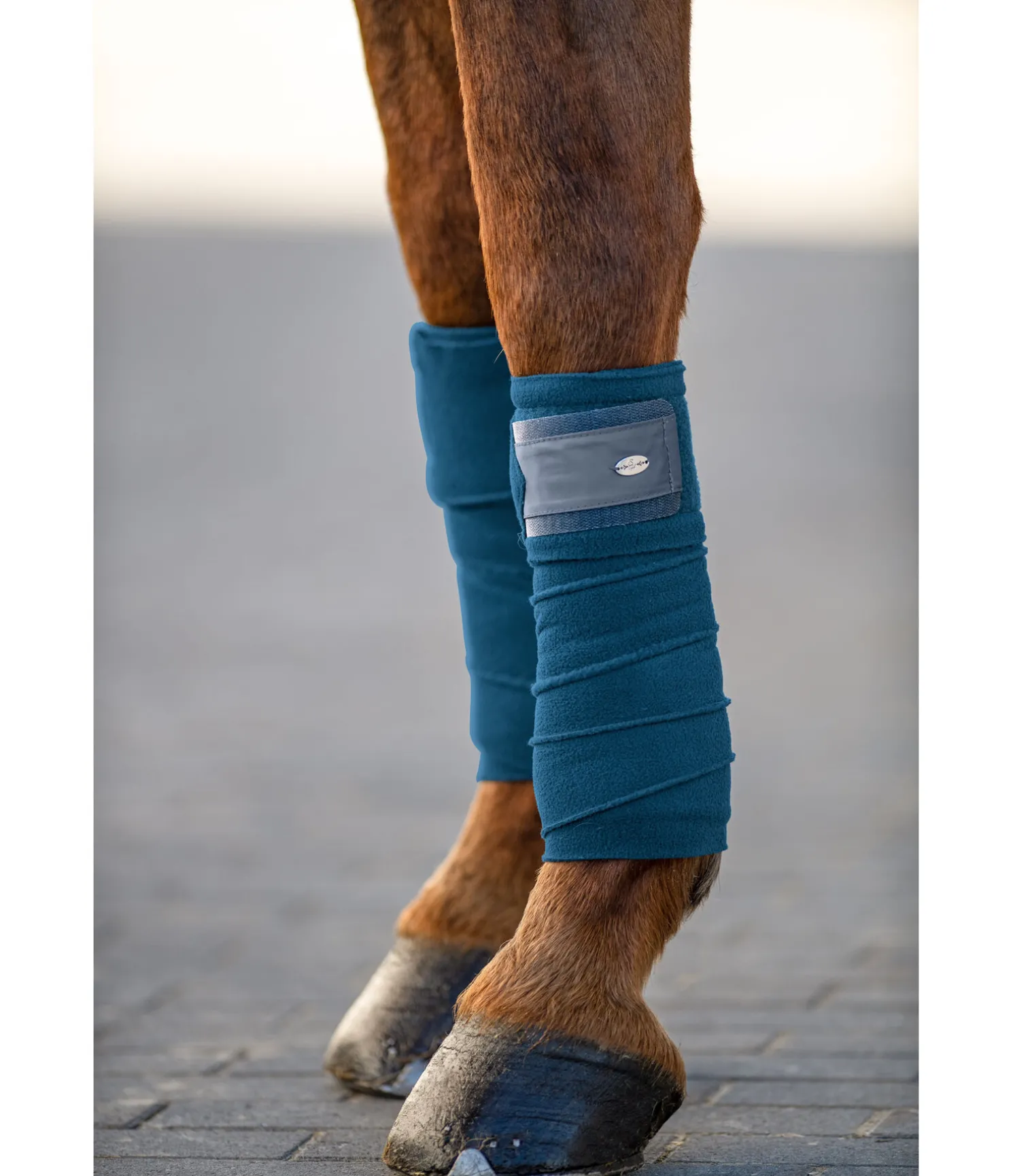 Bandes polaire Basic