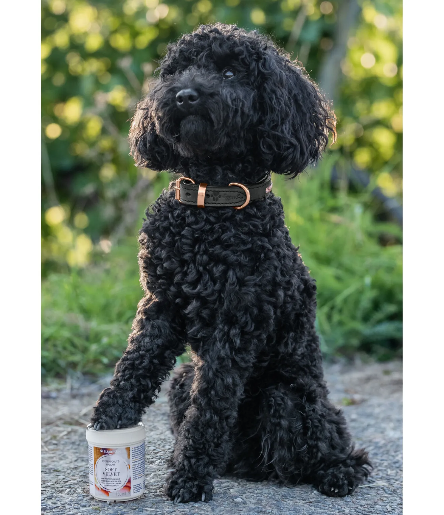 Baume coussinets pour chien Soft Velvet