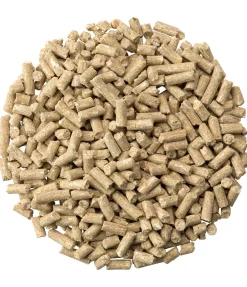 Biotine Booster
