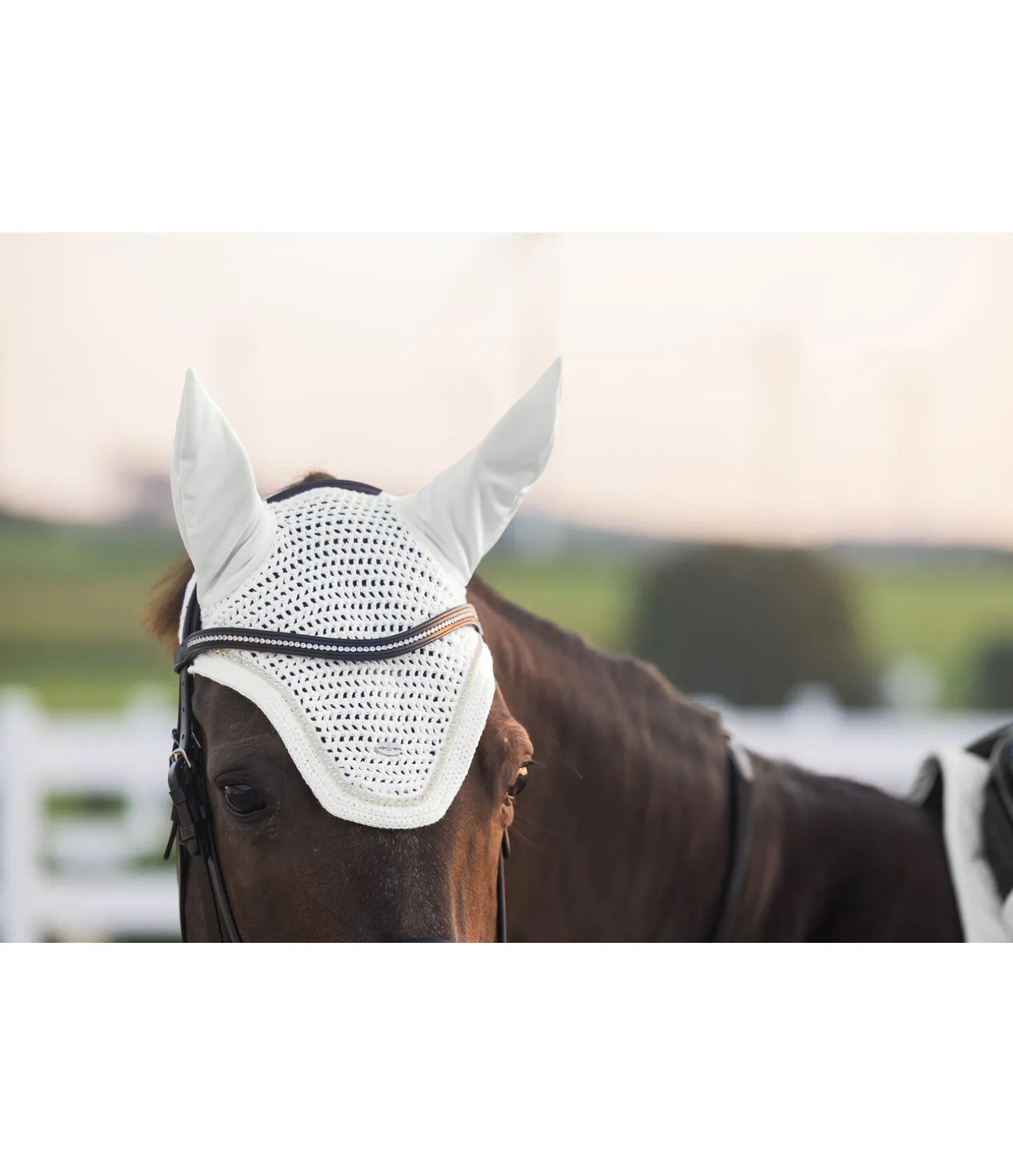 Bonnet anti-mouches Brillant