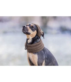 Bonnet pour chien Evin