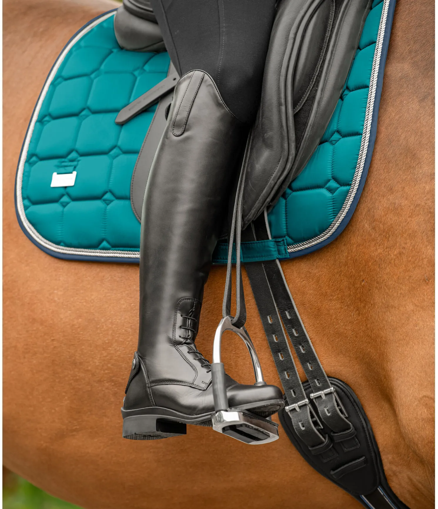 Bottes d'équitation Favourite III
