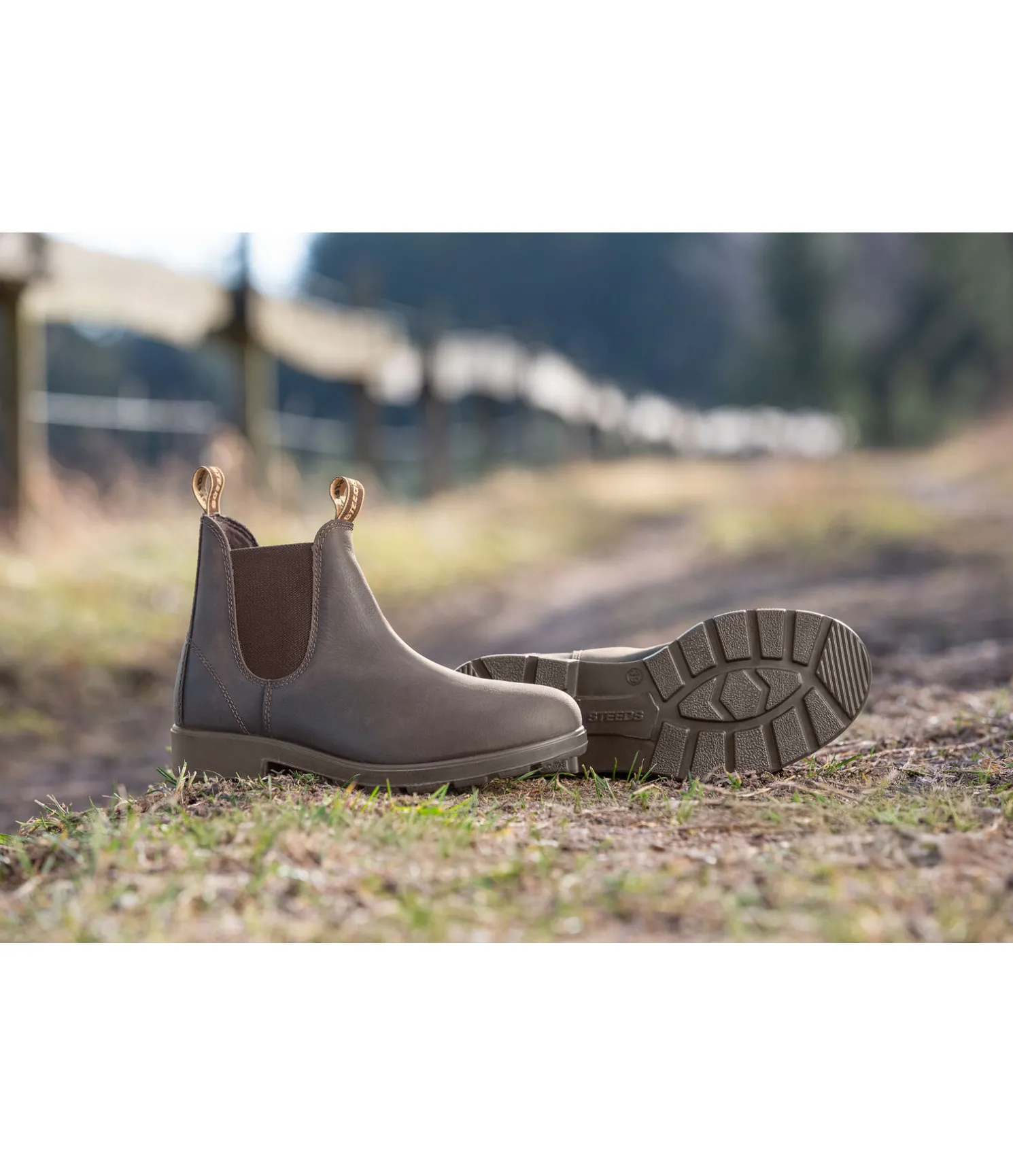 Bottines Paddock Master
