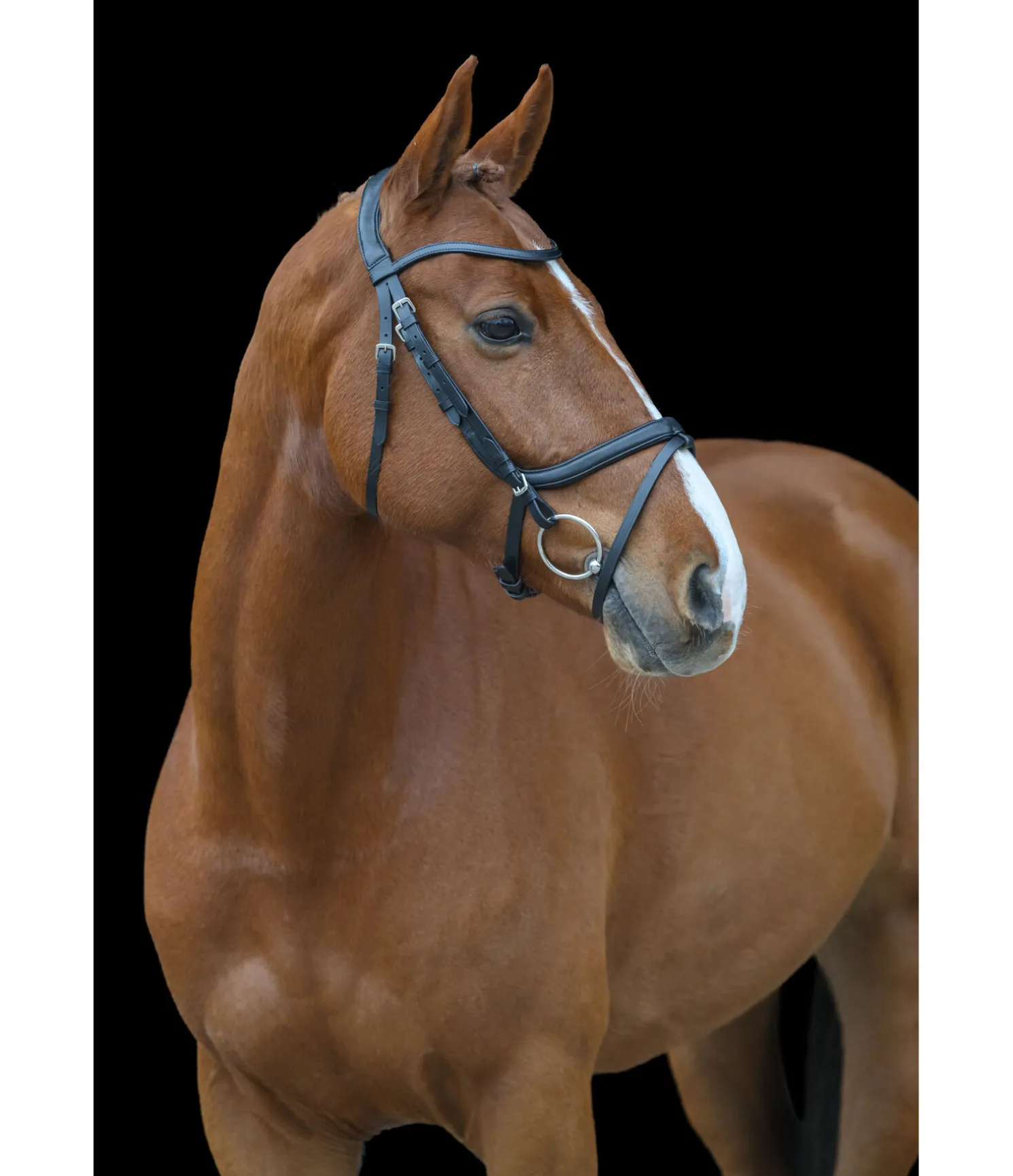 Bridon anatomique Classic