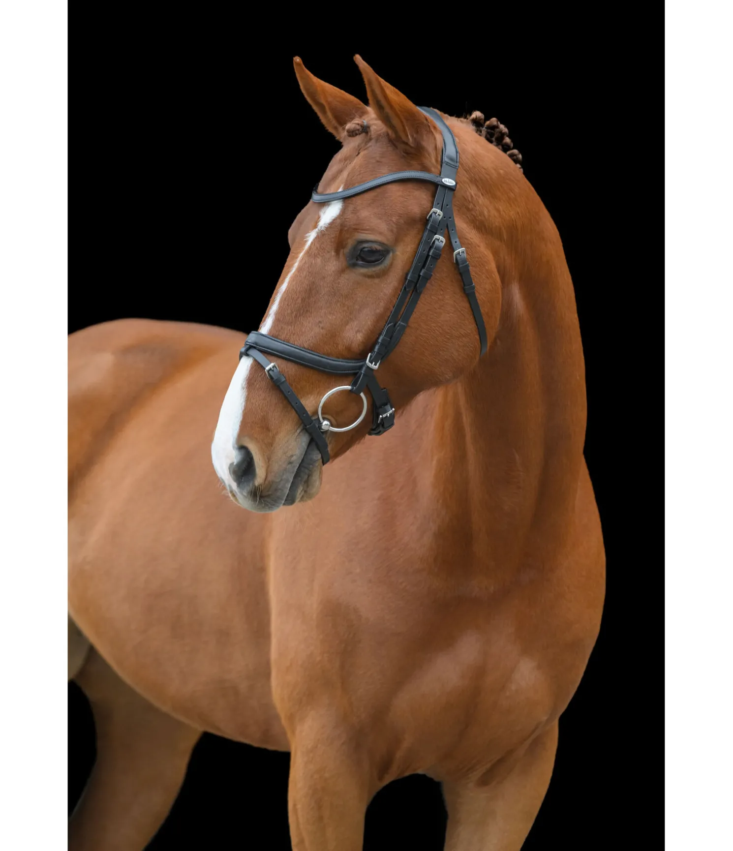 Bridon anatomique Classic