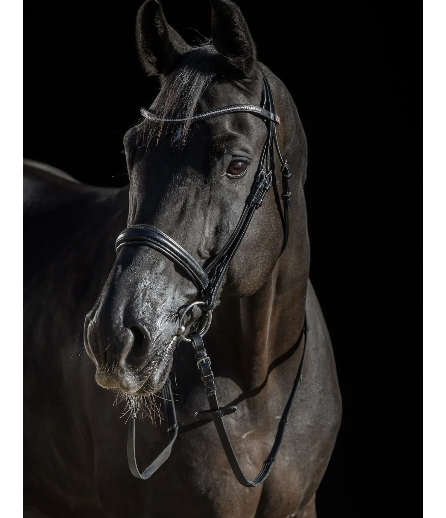 Bridon avec boucle de noseband amovible Mirissa