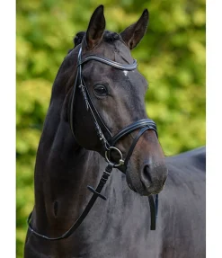Bridon Beauty