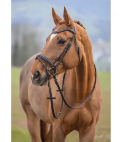 Bridon Beauty