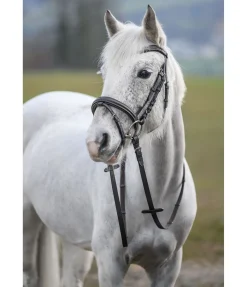 Bridon Beauty