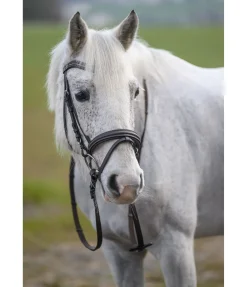 Bridon Beauty