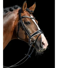 Bridon Classic