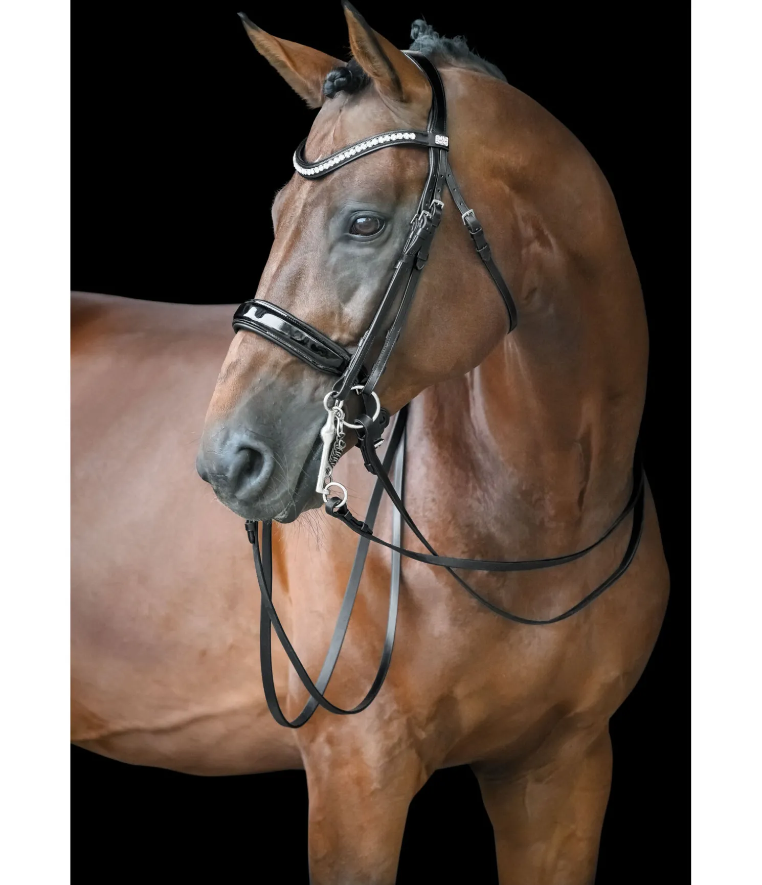 Bridon Dressage II