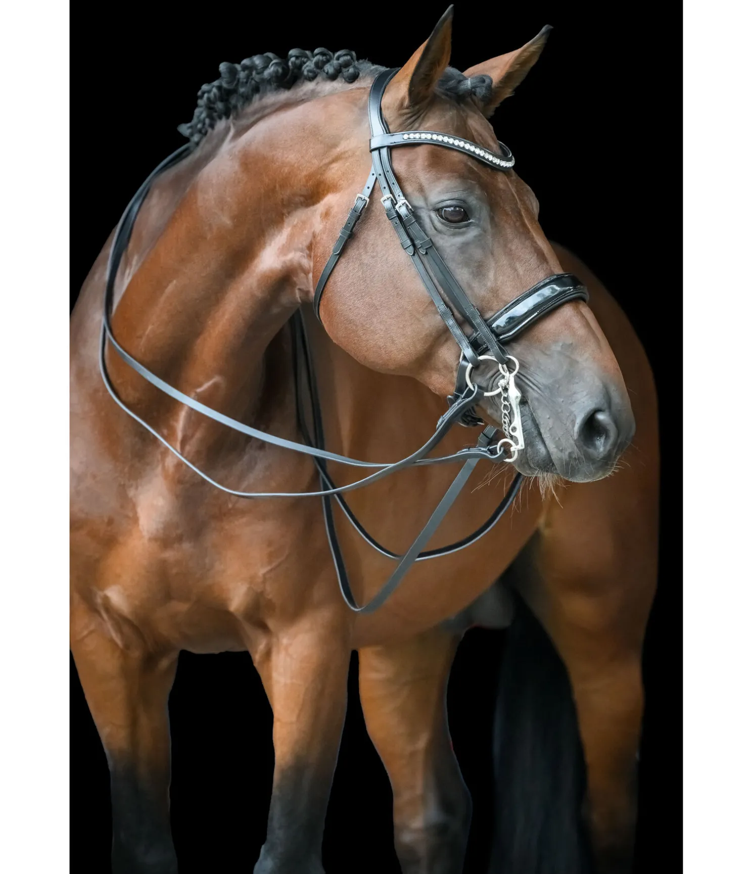 Bridon Dressage II