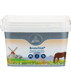 Bronchial +