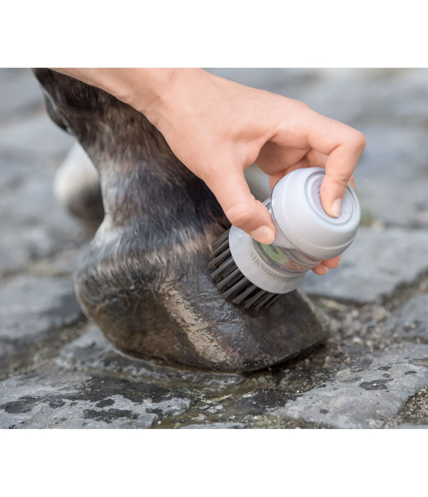 Brosse à sabots avec réservoir
