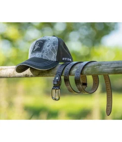 Ceinture Algoma