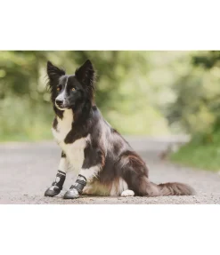 Chaussons pour chien Dubai