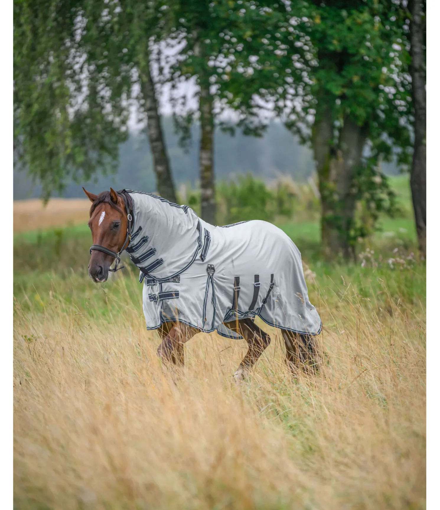 Chemise anti-mouches avec couvre-cou Karoo