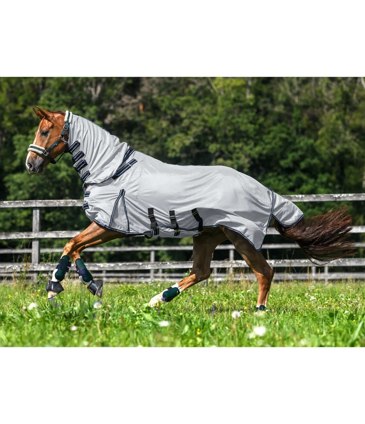 Chemise anti-mouches avec couvre-cou Karoo