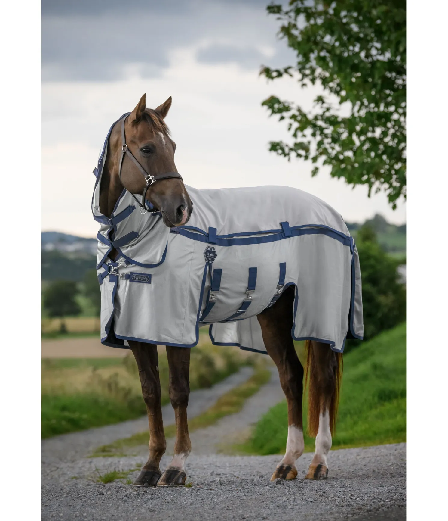 Chemise anti-mouches 4 en 1 avec empiècement imperméable amovible All Weather II