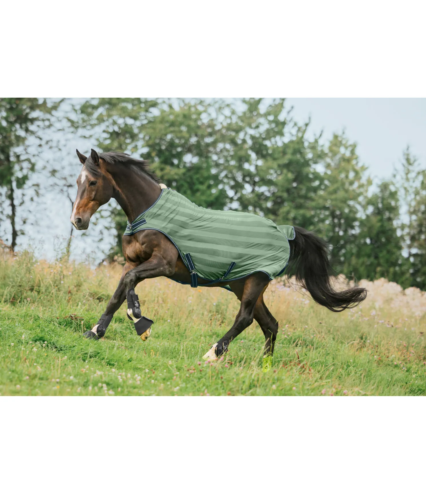 Chemise de marcheur anti-mouches Economy Light