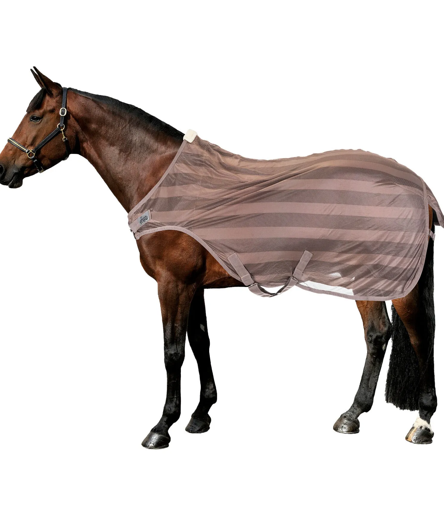 Chemise de marcheur anti-mouches Economy Light