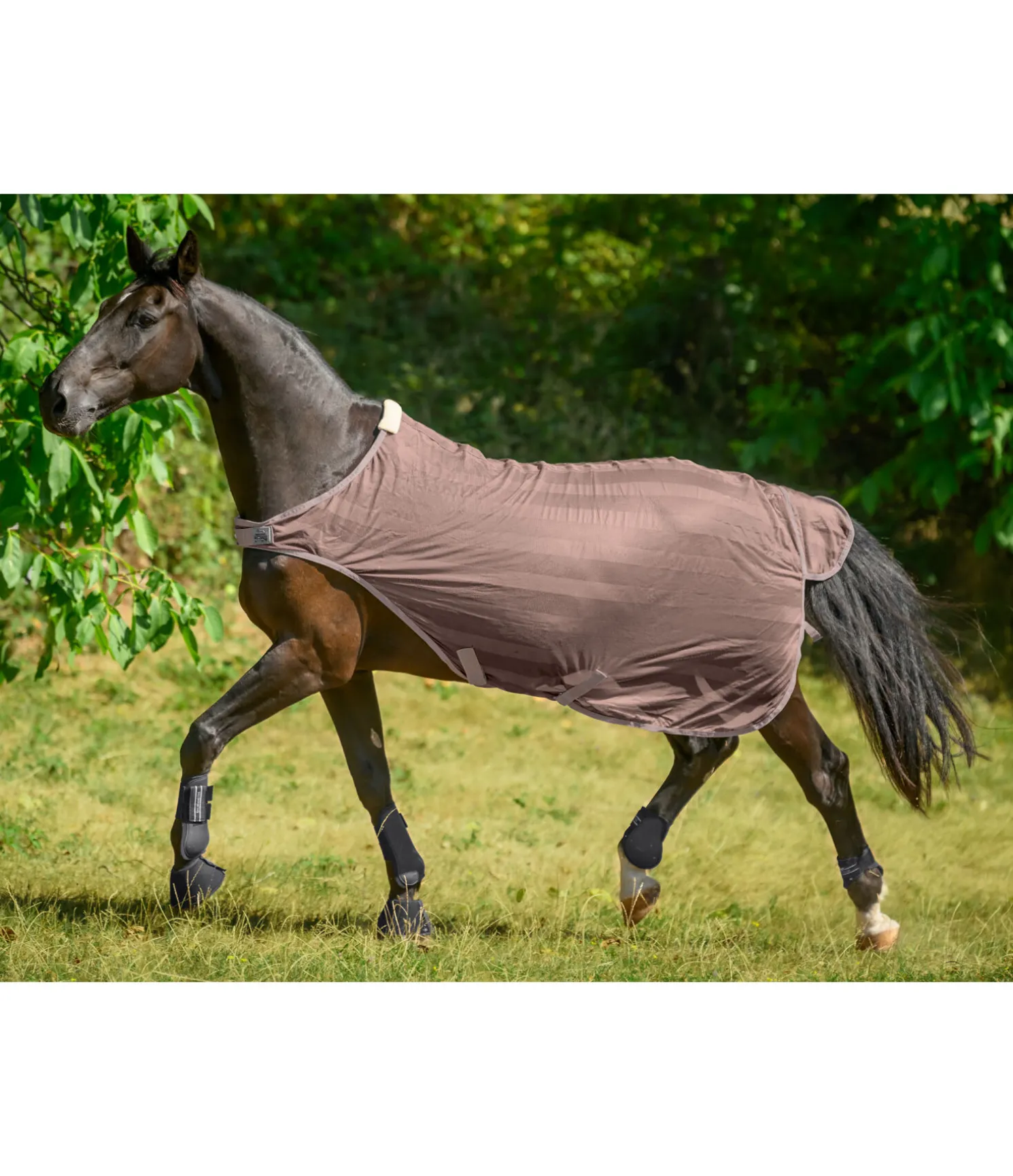 Chemise de marcheur anti-mouches Economy Light