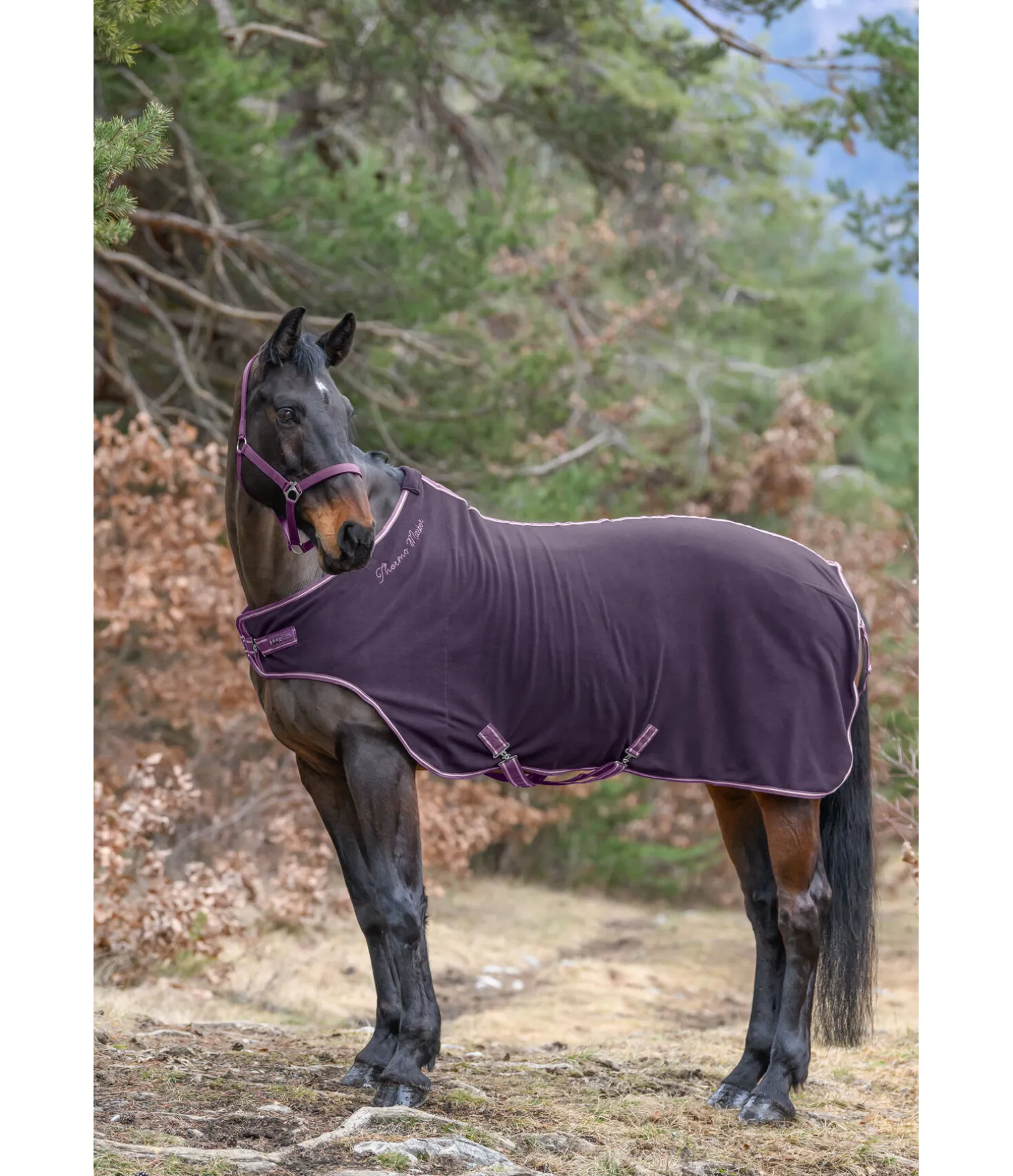 Chemise de marcheur en polaire Activity