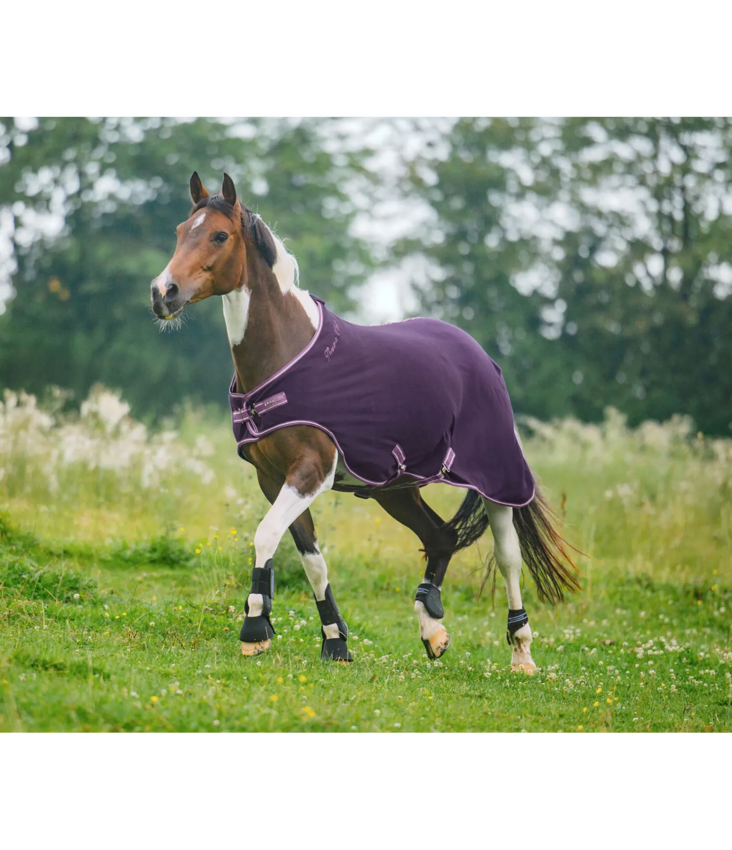 Chemise de marcheur en polaire Activity