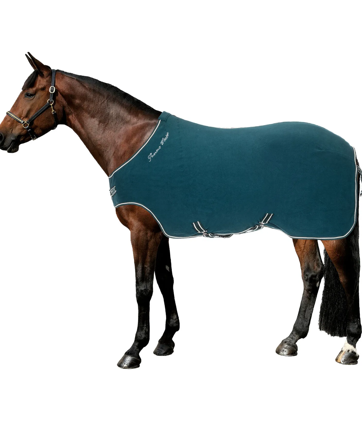 Chemise de marcheur en polaire Activity