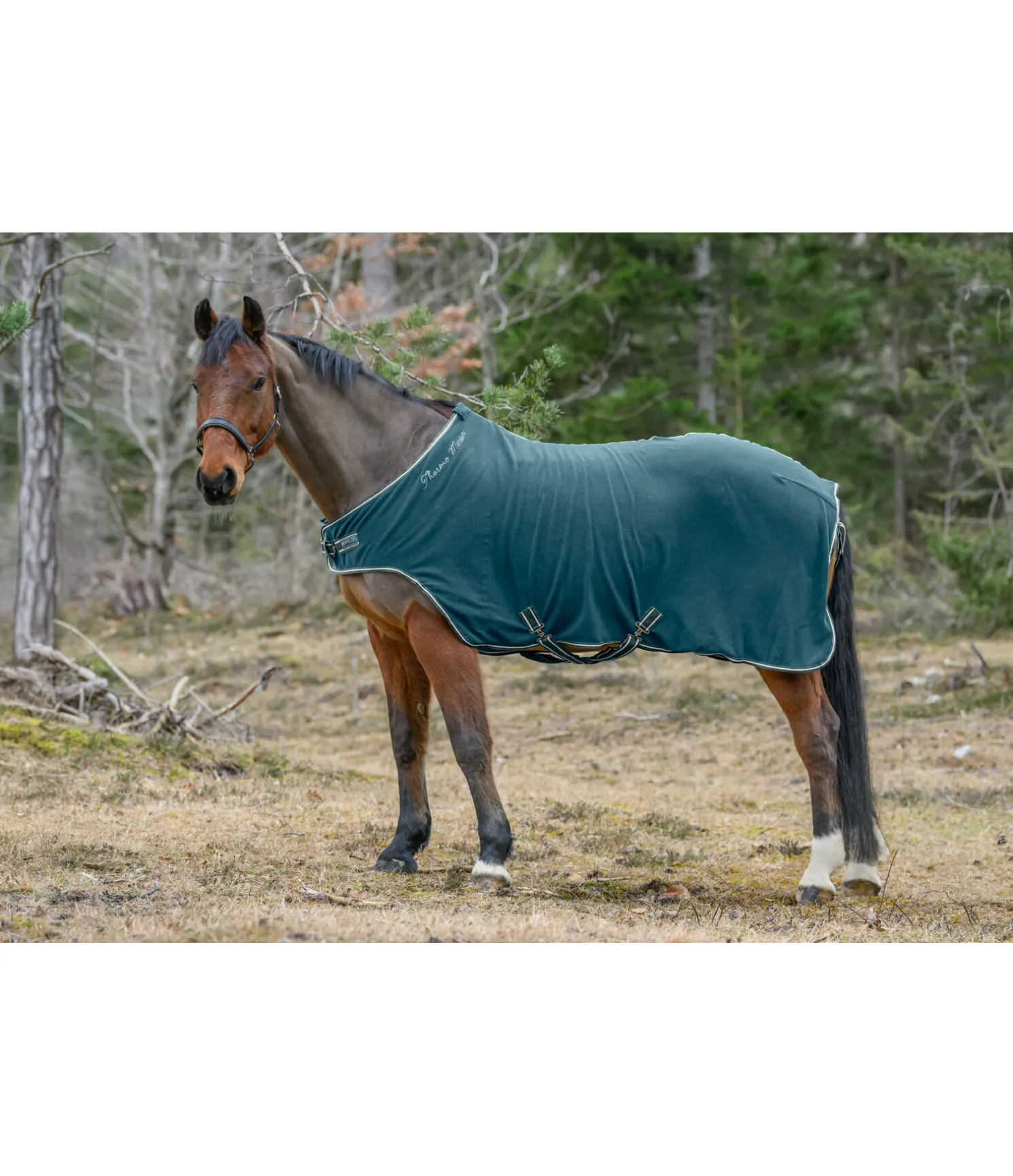 Chemise de marcheur en polaire Activity