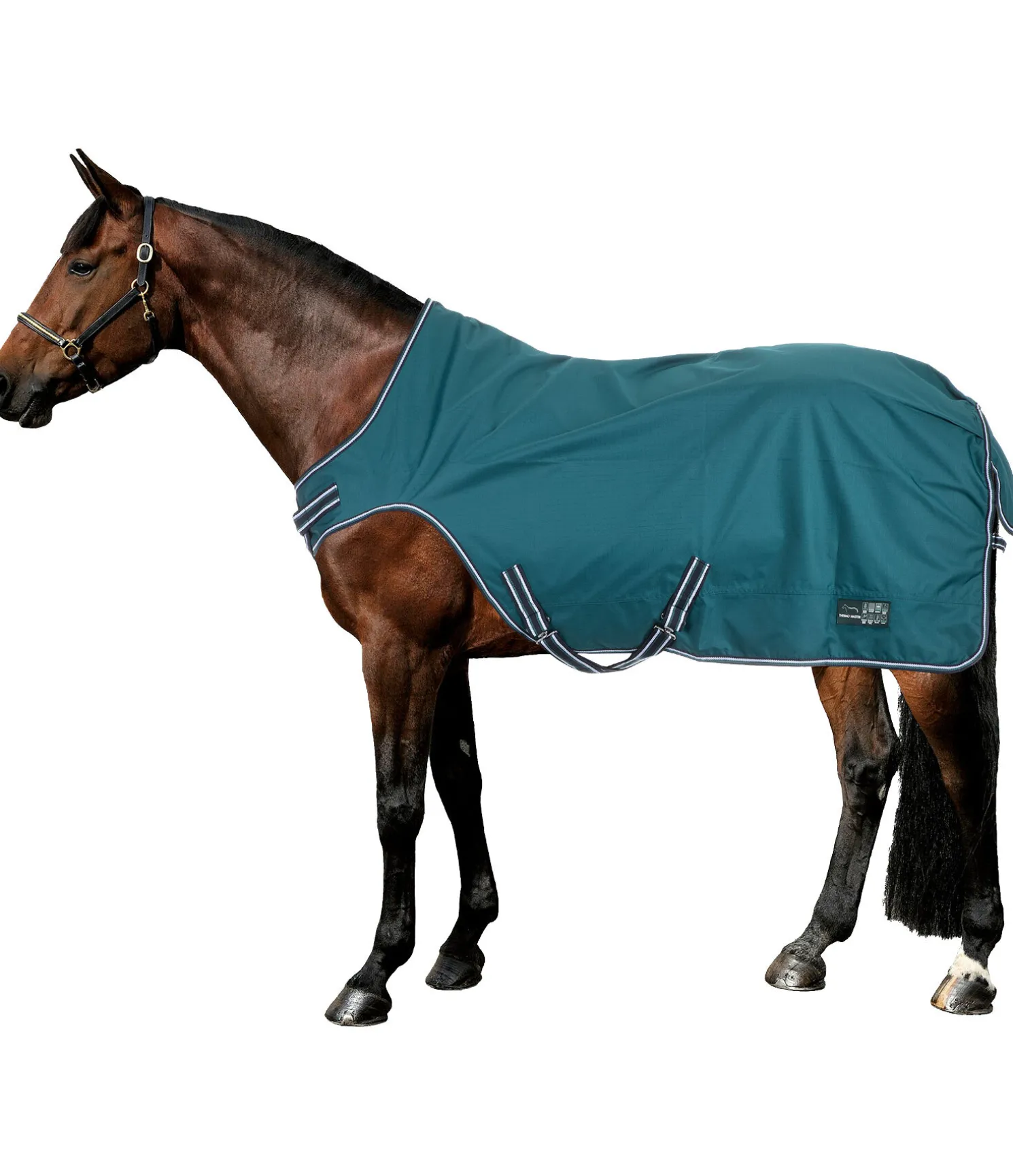 Chemise de marcheur imperméable Kasimo II, 0 g