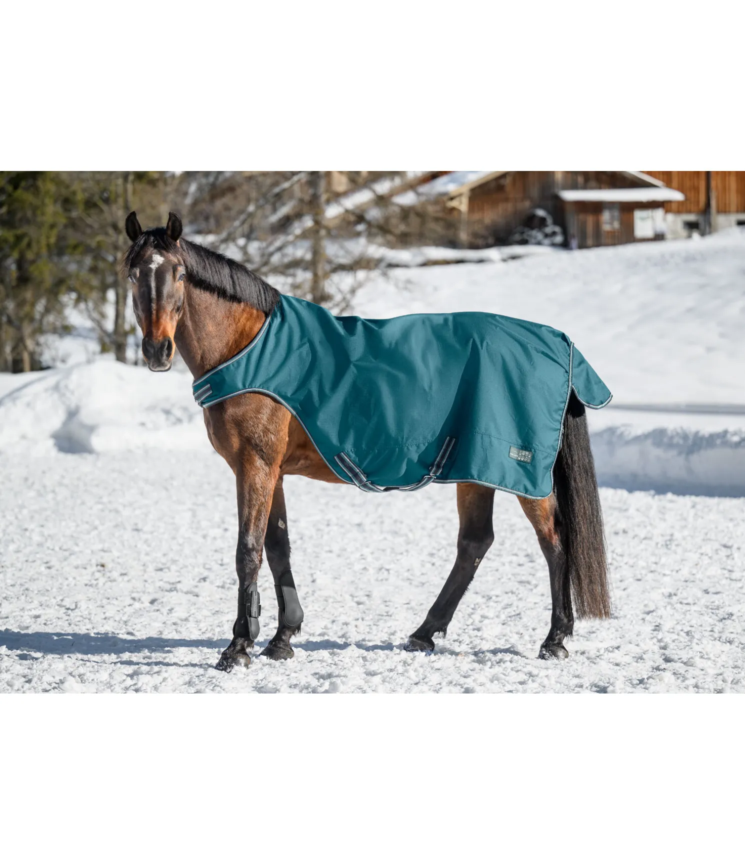 Chemise de marcheur imperméable Kasimo II, 0 g