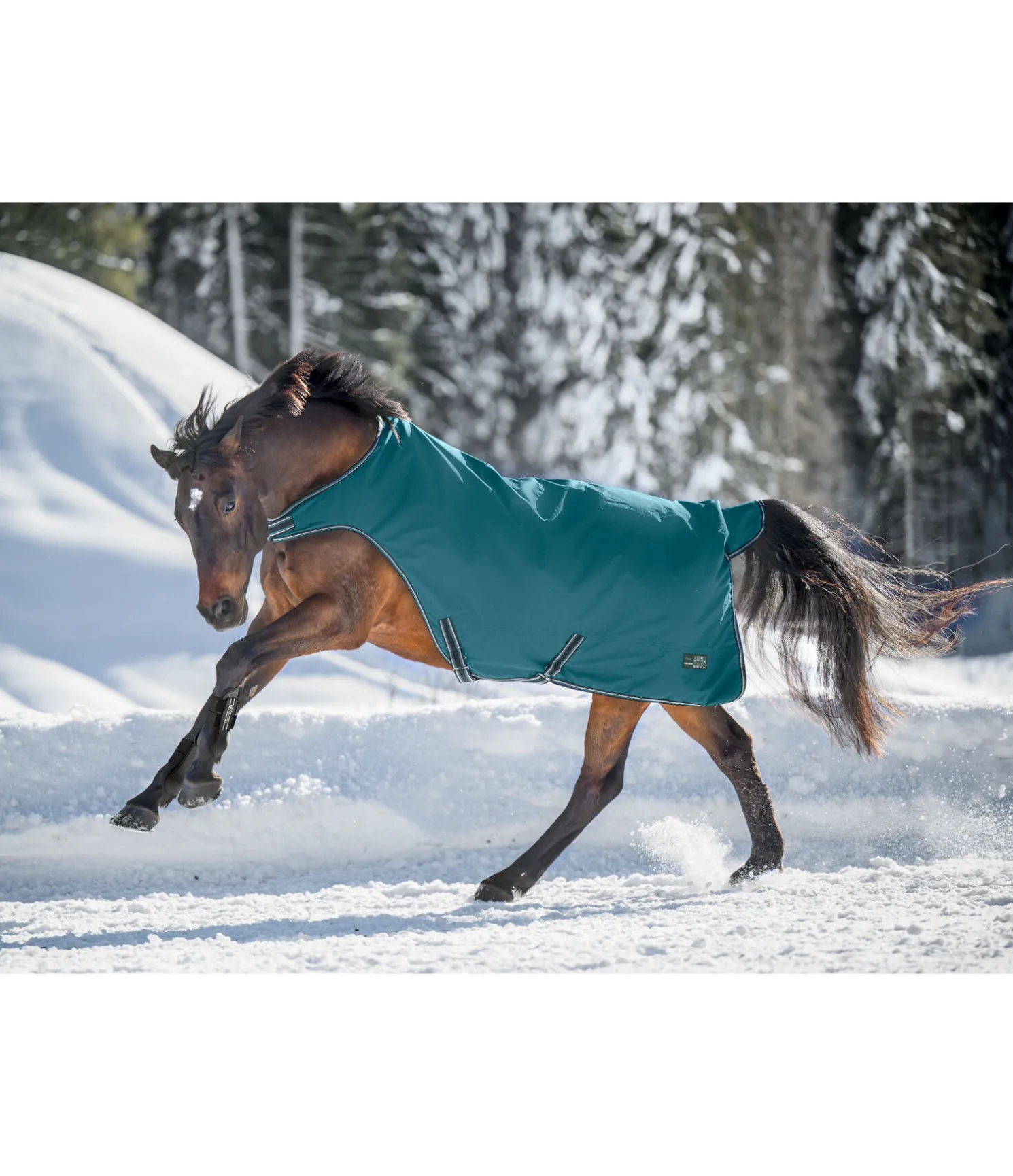 Chemise de marcheur imperméable Kasimo II, 0 g