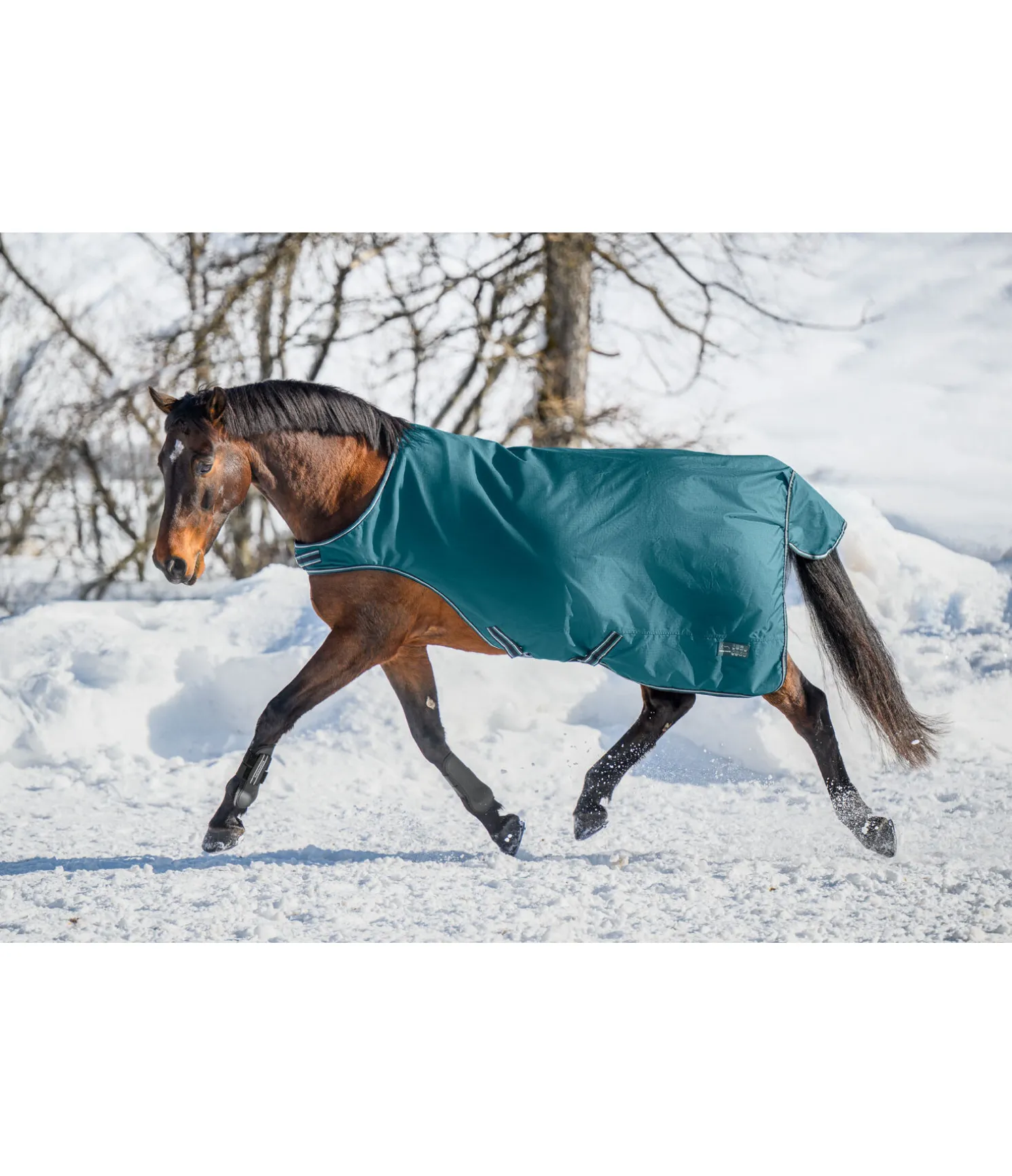 Chemise de marcheur imperméable Kasimo II, 0 g
