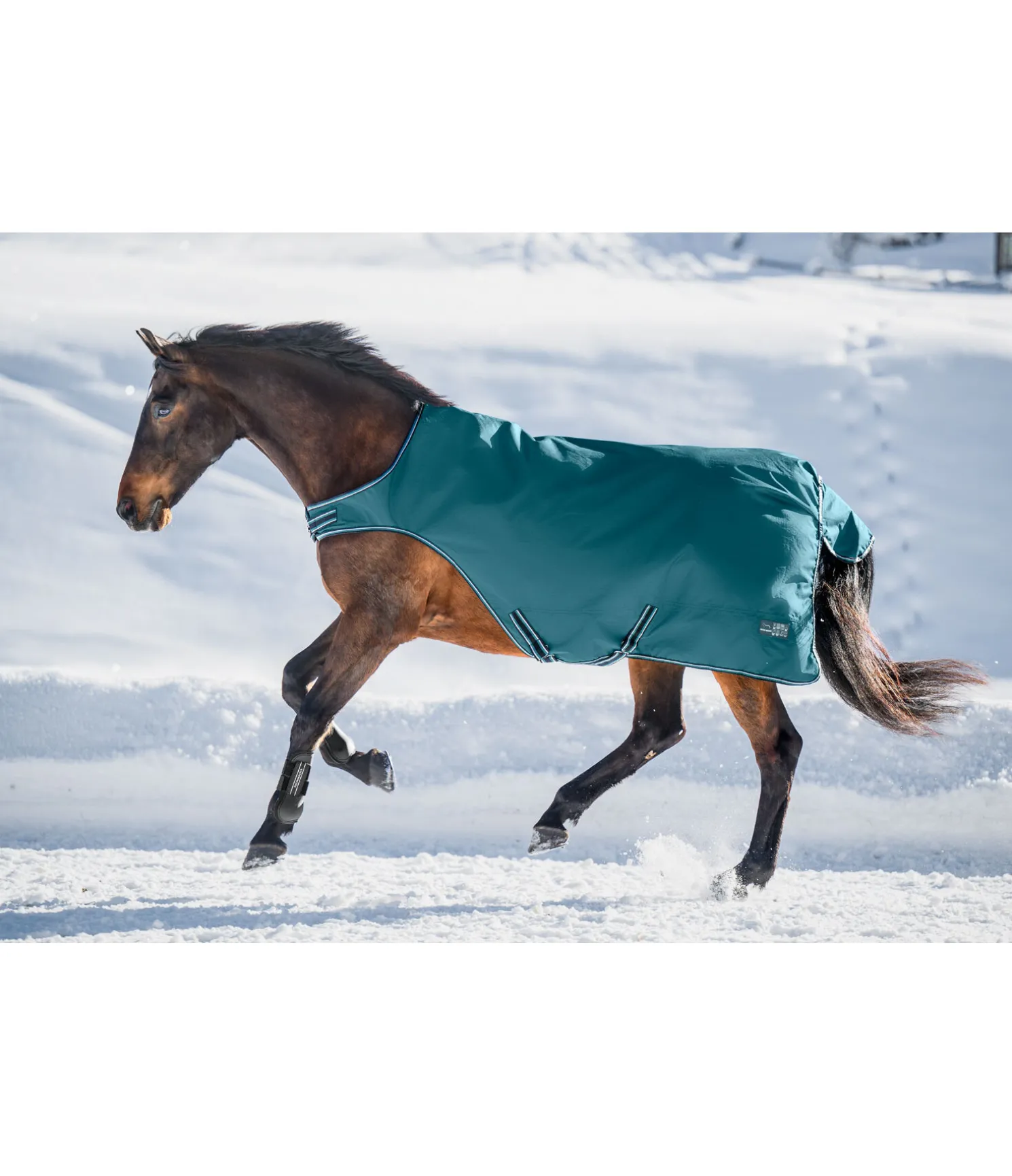 Chemise de marcheur imperméable Kasimo II, 0 g