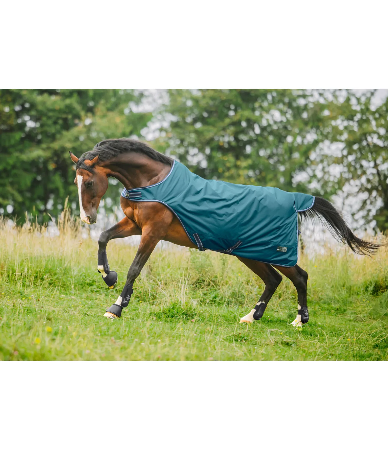 Chemise de marcheur imperméable Kasimo II, 0 g