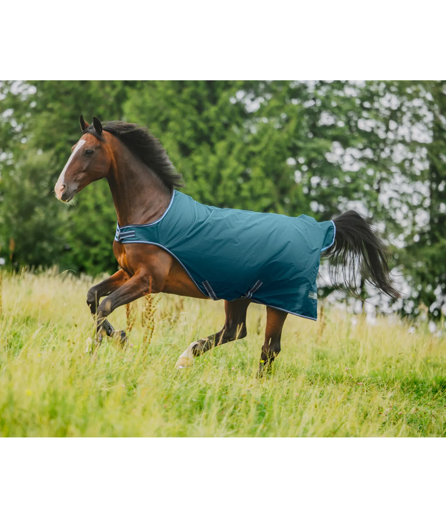 Chemise de marcheur imperméable Kasimo II, 0 g
