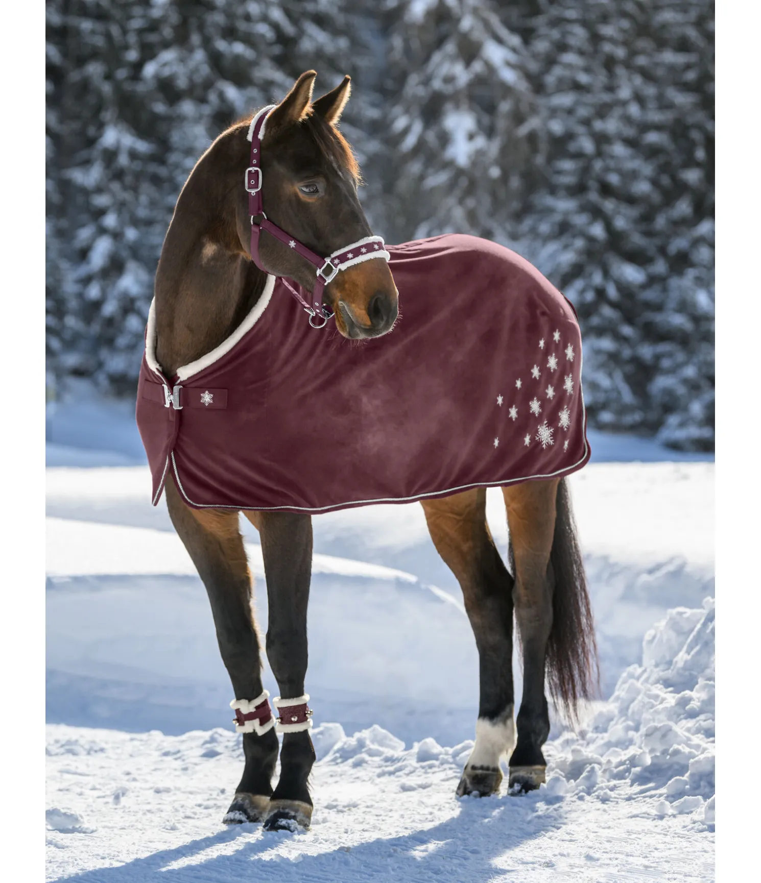 Chemise séchante Collection de Noël